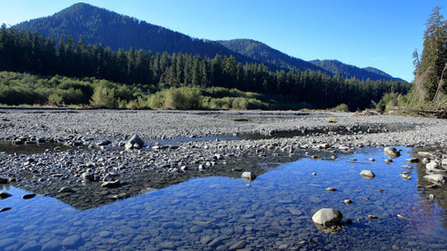 Hall of Mosses Trailhead