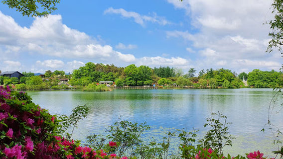 Hoamji