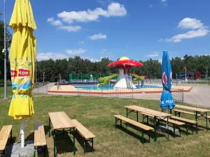 Basen "Grzybek"