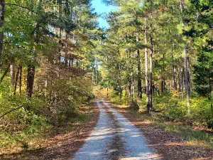 Brick House Campground