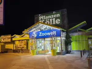 Pflanzen-Kölle