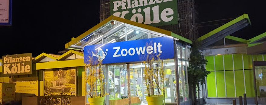 Pflanzen-Kölle
