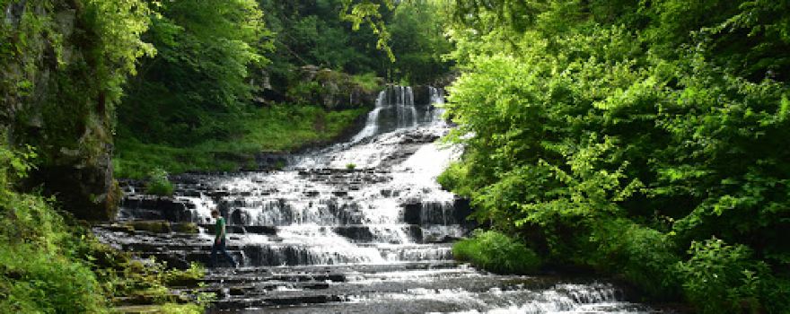 E N Huyck Preserve