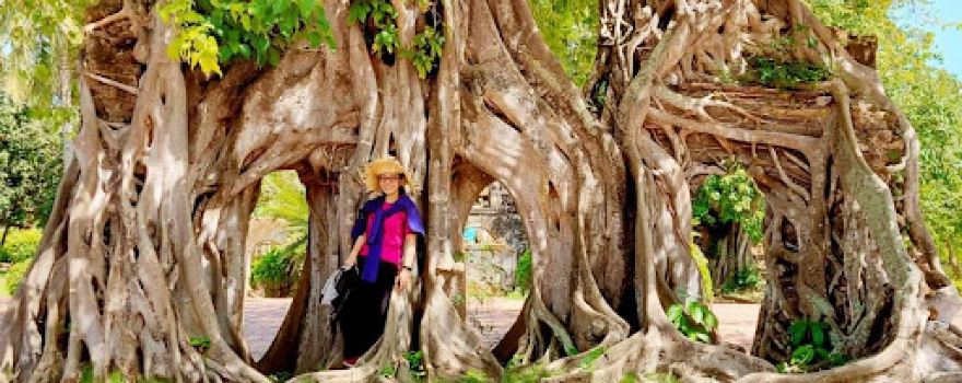 Đền thờ Lương Văn Chánh