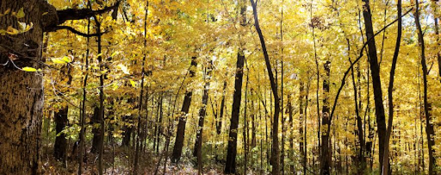 Gregory State Wildlife Area
