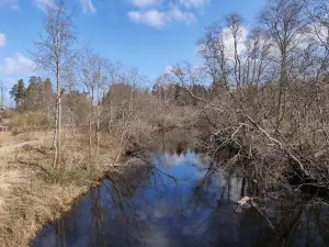 Saula Siniallikad