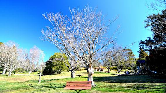 Blackheath Memorial Park