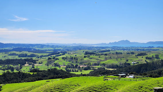 Brynderwyns Scenic Lookout