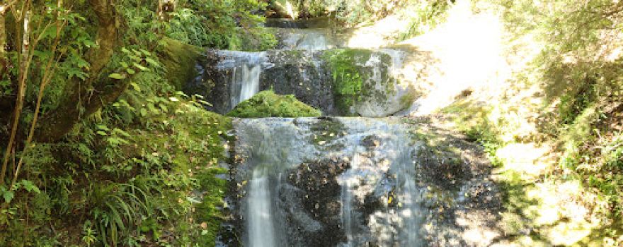 Makarewa River