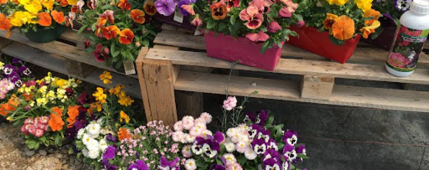Au jardin des quatre saisons