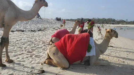 Kongo River Beach Dhow Sunset cruises