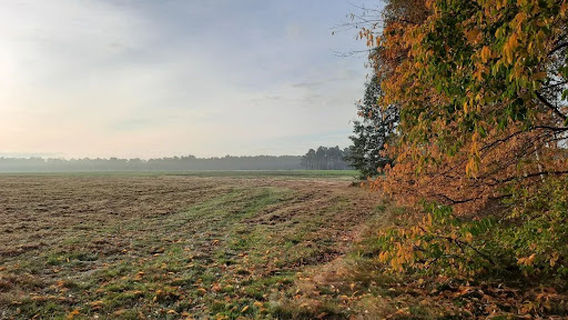 Galzignano Terme
