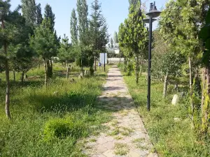 Karakoyunlu Açık Hava Müzesi