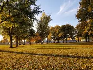 Memorial Park