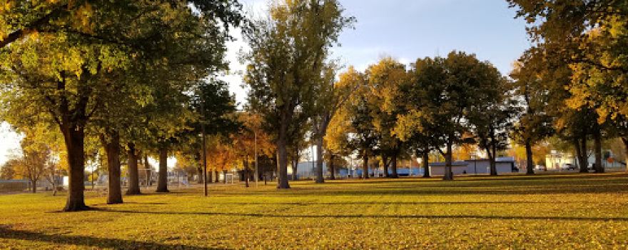Memorial Park