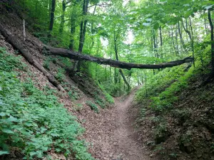 Юрьевская пещера