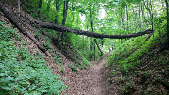 Yur'yevskaya Peshchera