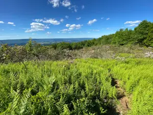 Mount Pisgah Altar