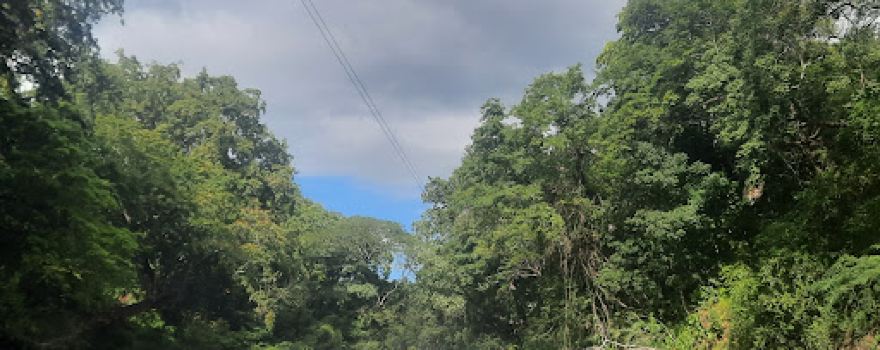 Ponderosa Adventure Park
