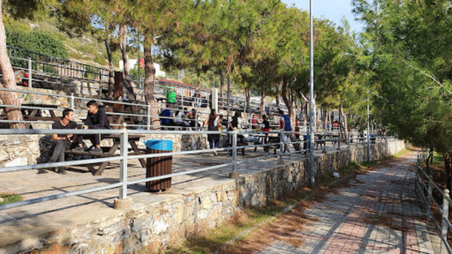 Ulaş Mesire Piknik Alanı