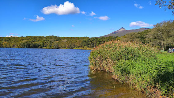 Lake Ōnuma East Camping Ground.