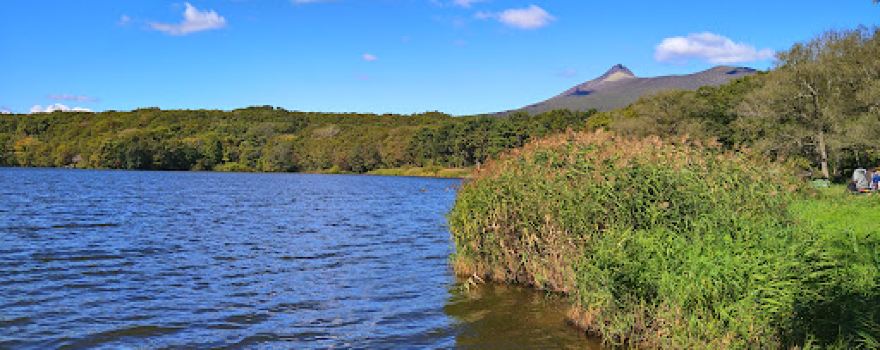 Lake Ōnuma East Camping Ground.