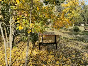 Jerlin Rv Campsite