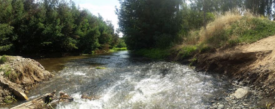 Camping Parque La Victoria