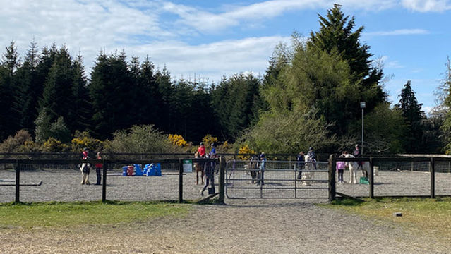 Wicklow Equestrian Centre