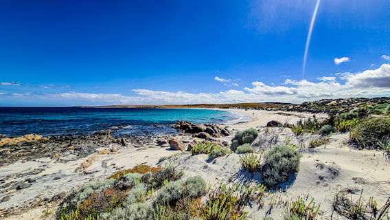 Carrow Wells Campground