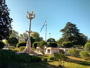 Plaza Olmos
