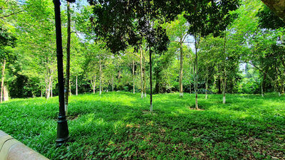 K9 Ho Chi Minh Memorial House