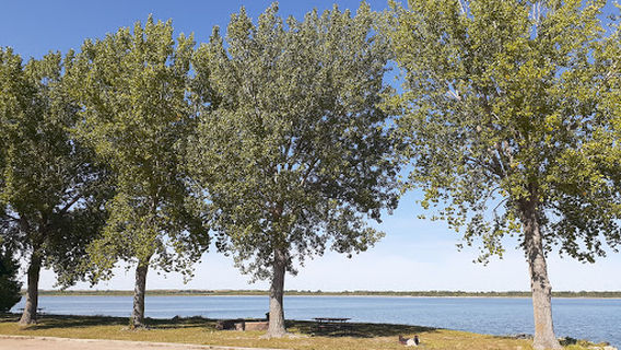 Nunda Shoal Campground