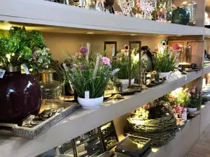 Jardinerie Paquet Jardin - Grenoble / Meylan