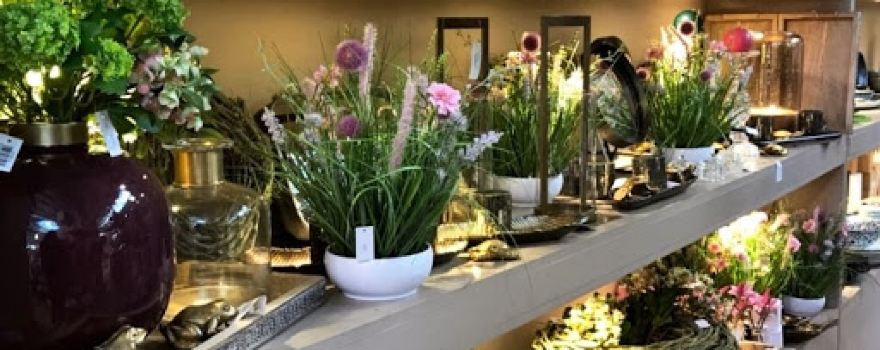 Jardinerie Paquet Jardin - Grenoble / Meylan