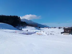 skieldorado HRAST