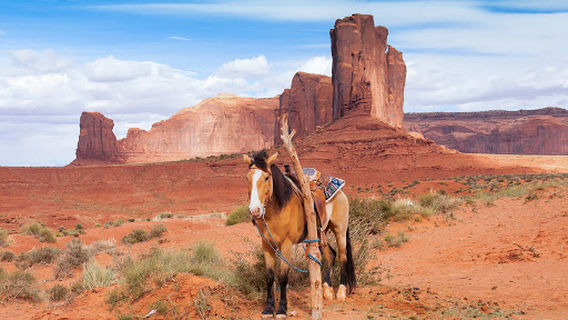 Kayenta