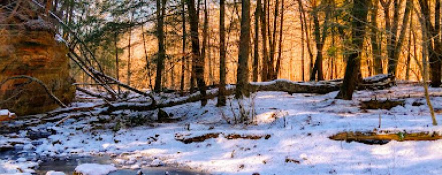 Hemlock Draw
