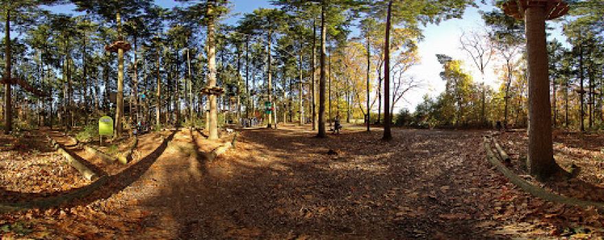 AvaTarZ climbing forest