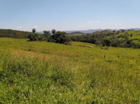 Fazenda Boa Sorte VM