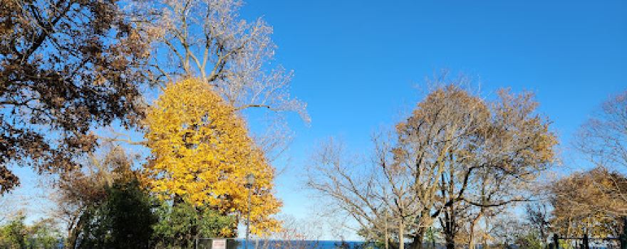 Elder Lane Park/Beach