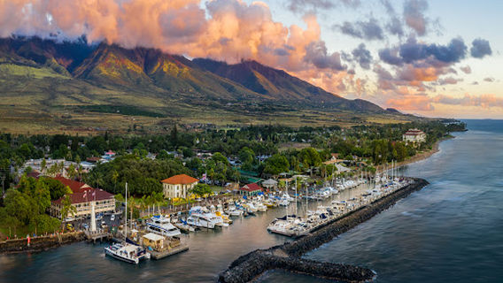 Maui Tickets For Less