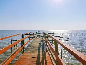 Wisata Mina Mangrove Desa Tunggulsari