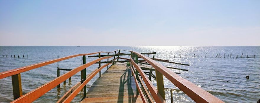 Wisata Mina Mangrove Desa Tunggulsari