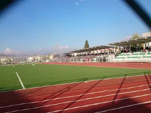 Araban İlçe Stadyumu