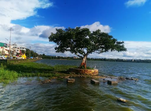 Sandhya Math