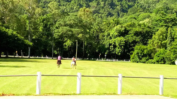 Barrine Court Park