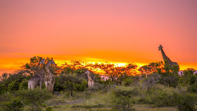 Thula Thula Private Game Reserve