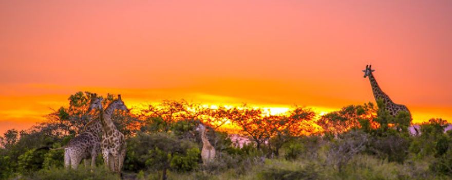 Thula Thula Private Game Reserve