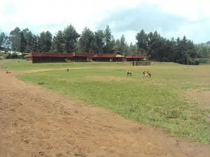 Shambu stadium